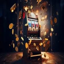 win556